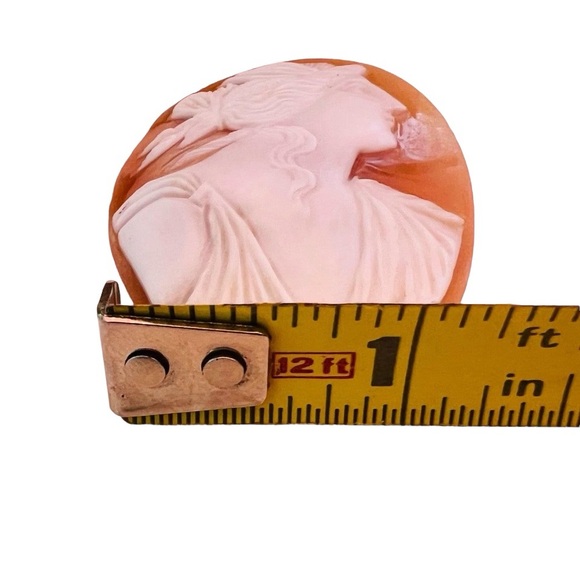 GORGEOUS Victorian Antique Large Unmounted Shell Cameo Large Goddess/God - Picture 6 of 12